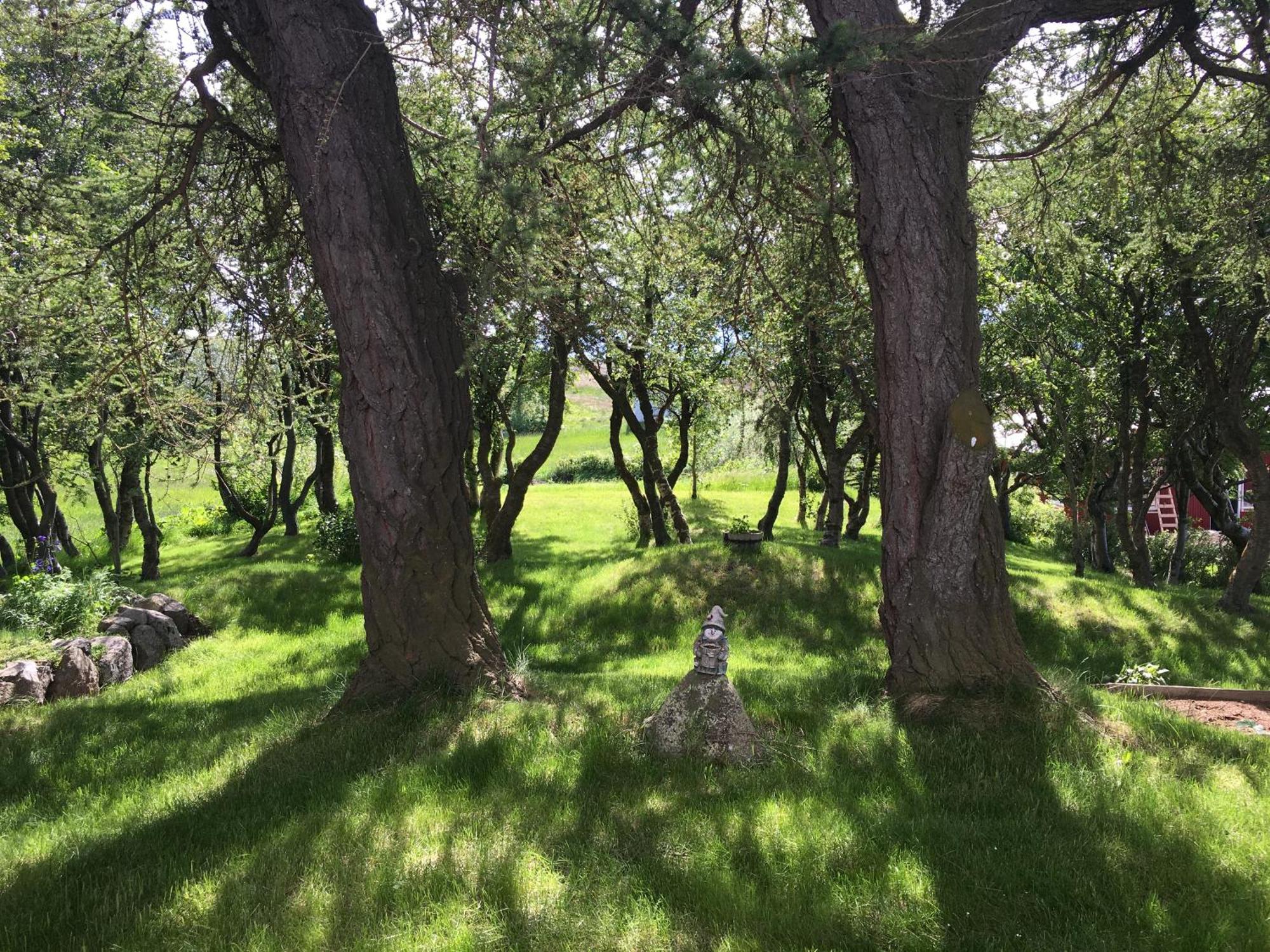 Helluland Guesthouse Saudarkrokur Εξωτερικό φωτογραφία