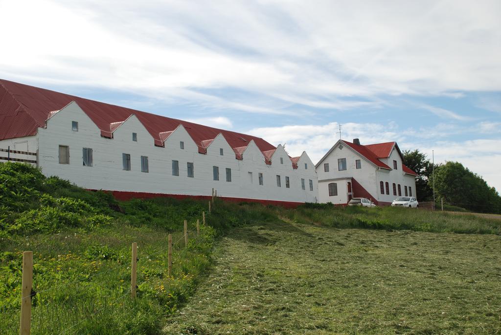 Helluland Guesthouse Saudarkrokur Εξωτερικό φωτογραφία